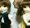 Doll�������ꤣ��